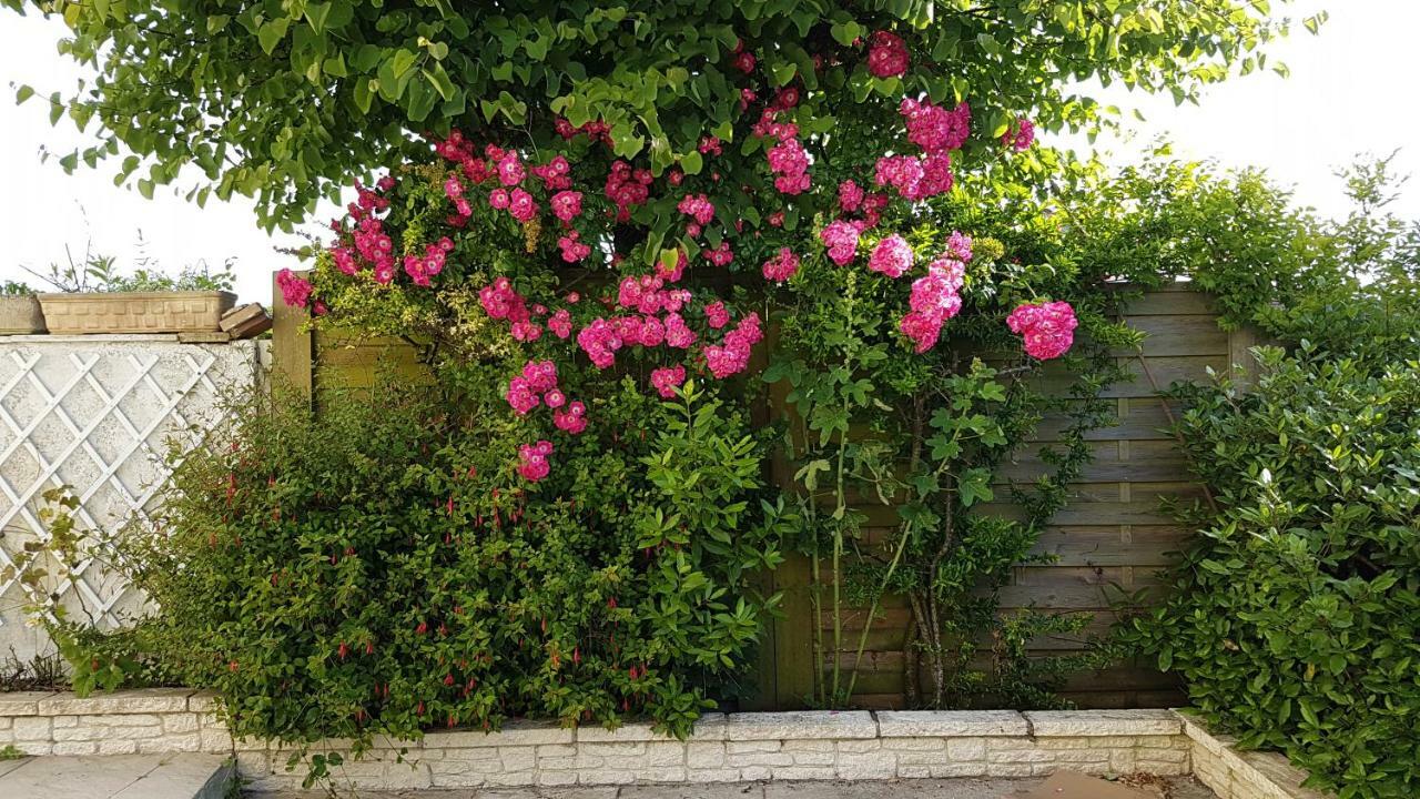 Liz'a Logis De Charme Holiday home Saint-Come-de-Fresne